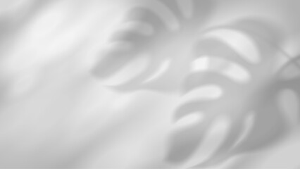 Realistic tropical foliage silhouette with soft sunlight overlay on white, ideal for summer poster layouts, nature-inspired banners, and transparent design templates