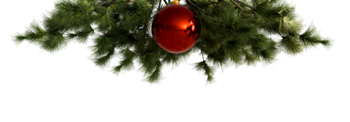 Christmas pine branch with single red bauble isolated on transparent background