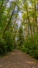Moulton Falls Regional Park, Clark County recreational park in Yacolt, Washington