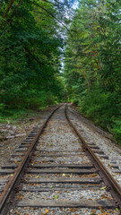 Moulton Falls Regional Park, Clark County recreational park in Yacolt, Washington