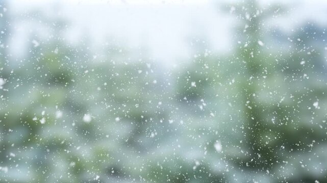 Calm Falling Snowflakes Winter Trees Background. Christmas 4K Seamless loop	