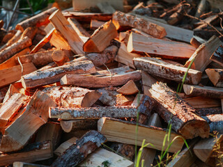A pile of wood logs with some of them being split. The pile is in a grassy area