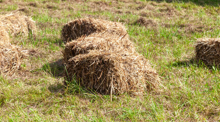 Haystacks on Meadow in Summer Countryside