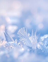 Close-up of intricate, delicate ice crystals forming on a frosty surface in soft blue and white winter light.