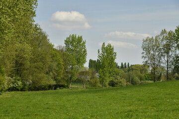 Obraz premium Le bois au printemps près du tunnel des Amoureux à Écaussinnes-Lalaing (Soignies)