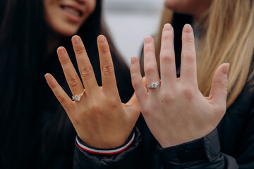Romantic proposal for a same-sex couple filled with emotion, Wedding proposal for a same-sex couple focused on love and commitment