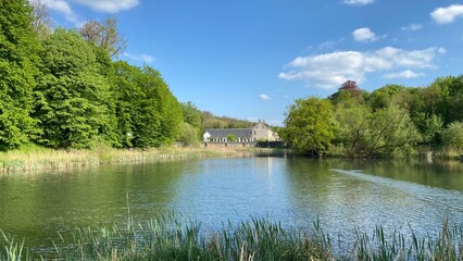 Obraz premium Beauté du printemps à la forêt de Soignes aux étangs de l'abbaye du Rouge-Cloître à Auderghem (Bruxelles Capitale Région )
