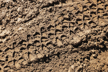 Dry soil surface with deep tire tracks. Rough dirt ground texture in warm light. Off road trail imprint pattern. Earth background detail. Natural terrain closeup. Rural outdoor surface