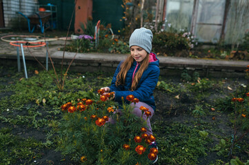 Photograph, portrait of a child, teenage girl in a garden, vegetable garden with plants, flowers, marigolds, autumn, outdoors.