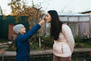 A child, a teenage girl in a garden, vegetable garden, gives marigold flowers to her mother, a young woman, to smell, in the open air in autumn.