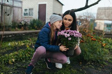A child, a teenage girl in a garden, a vegetable garden, hugs her mother, a young woman, with a bouquet of chrysanthemum flowers in autumn outdoors.