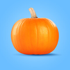 Fresh whole pumpkin on pale blue background. Gourd vegetable
