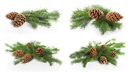 Fir tree branches and cones isolated on white, set © New Africa