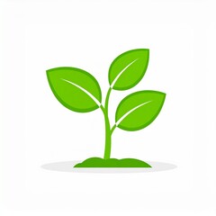 Green seedling sprout growth plant nature ecology environment organic farming agriculture life development beginning icon symbol