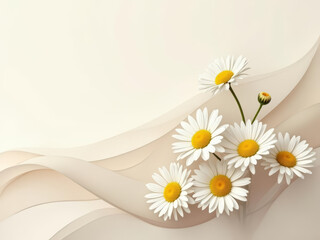Fresh daisies on soft background create serene atmosphere