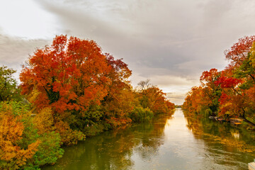 Backwater of the Koros river at Szarvas