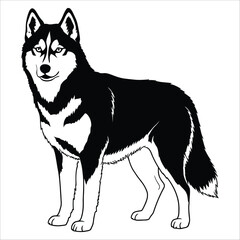 Black and white vector illustration of a majestic husky dog standing proudly