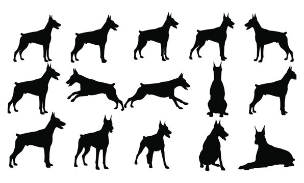 A comprehensive collection of Doberman Pinscher dog silhouettes in various poses and actions