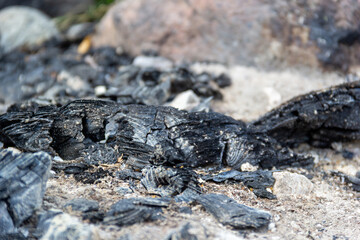 Charred wood remnants scattered across a rocky surface after a recent fire incident
