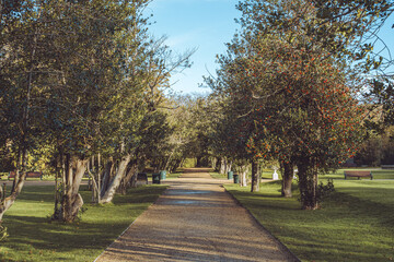 Dublin, Ireland- December 7 2025 "Late autumn in in capital of Ireland, Dublin"
