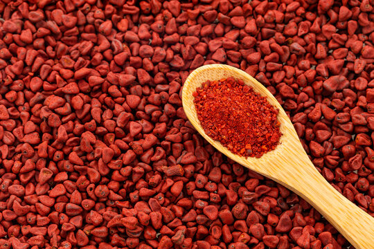 Bixa Orellana - Crushed annatto seeds in the spoon