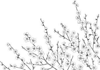 たくさんの梅の枝の手描きペン画