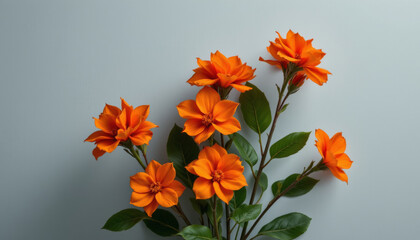 Bright orange flowers with green leaves against soft gray background create vibrant and fresh floral arrangement full of natural beauty and color