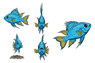 Blue fish in various poses, side view, top view, and front view, with vibrant colors.