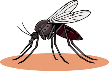 Common House Mosquito Sucking Blood - Animal Character Illustration Isolated on Transparent Background