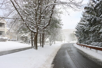 rural road in the blizzard 5