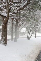 rural road in the blizzard 2