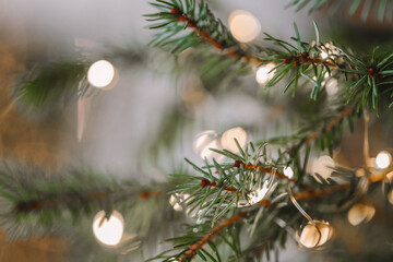 .Christmas Tree Branches with Bokeh Lights. Christmas and New Year background.