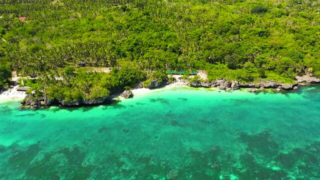 Beautiful tropical beach with white sand, palm trees, turquoise ocean. Bohol, Anda area, Philippines.