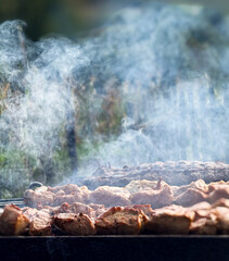 Shashlik meat cooking on barbecue over smoke