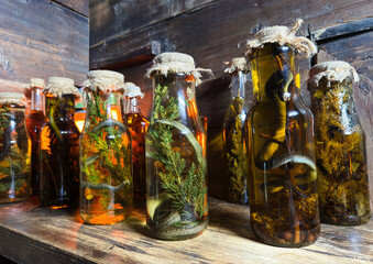 Traditional carpathian snake vodka bottles with herbs