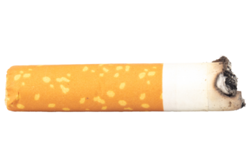 cigarette butts isolated on white background