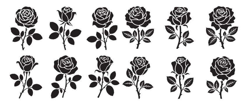 Rose flower silhouette set. black and white blooming roses collection vector illustration