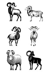 Jacob Sheep Ram Illustration Set. Black on Isolated Background