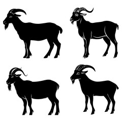 Goat Silhouette Set with Curved Horns on Isolated Background
