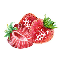 Composition of juicy, ripe strawberries. Whole and a half red berries with green leaves on top. Vegan, healthy, vitamin-rich. Diet dessert. Hand drawn watercolor illustration. Single isolated object