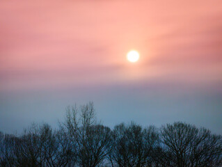 Obraz premium Sunrise over the winter forest with bare branches against pink clouds in the blue sky, a tranquil winter landscape of New England in America.