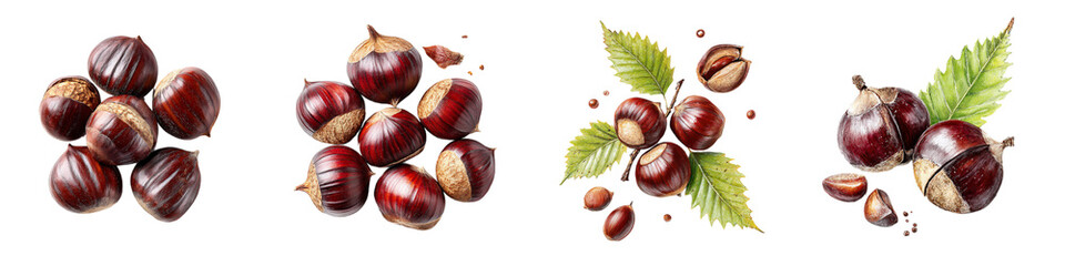 Chestnuts with Leaves Collection: Autumn Harvest Illustration