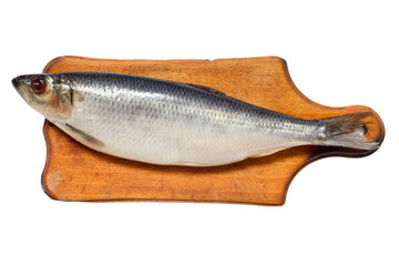 Salted herring fish on a wooden cutting board. Large marinated herring on a white background