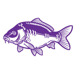 Obraz premium Purple artistic illustration of a detailed carp fish isolated on white background