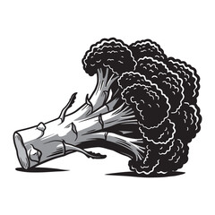 Stylized black and white illustration of a fresh broccoli floret and stalk, representing healthy eating, organic produce, vegetarian diet, and raw food ingredients