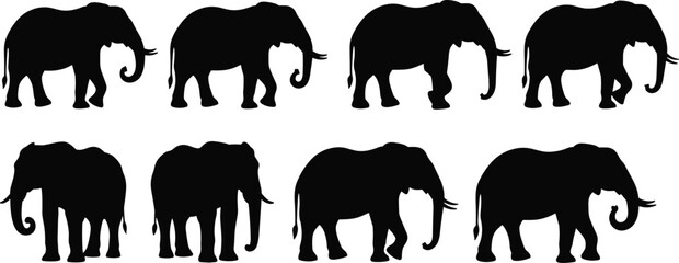 Elephant silhouettes collection showing walking standing poses isolated black vector icons for wildlife safari illustration branding stock design