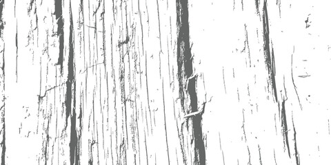 Abstract distressed vertical wood grain texture Rough vector overlay background in monochrome gray and white
