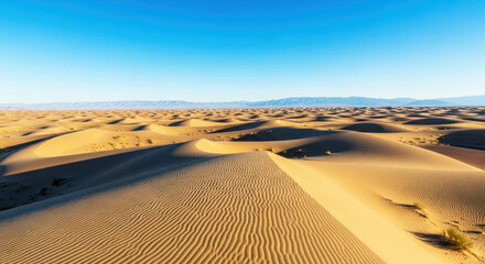 Desert landscape with sand dunes under a clear blue sky.