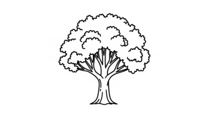 Minimalist White Outline Tree Illustration On Black