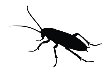 Cockroach silhouette vector, pest animal symbol, Cockroach icon, cockroach walking silhouette vector